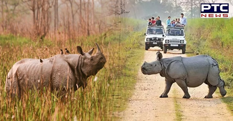 Assam: Kaziranga National Park and Tiger Reserve reopens for tourists