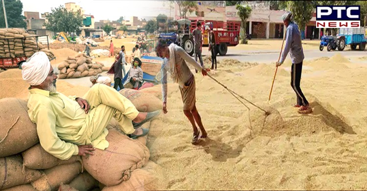 Paddy procurement begins in Haryana, Punjab from October 3