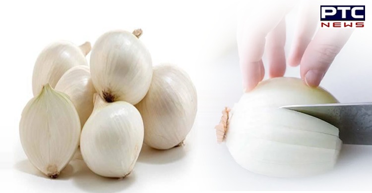 Maharashtra: White onion of Alibag gets ‘Geographical Indication’ tag