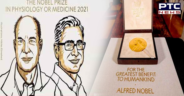 American scientists David Julius, Ardem Patapoutian win 2021 Nobel Prize