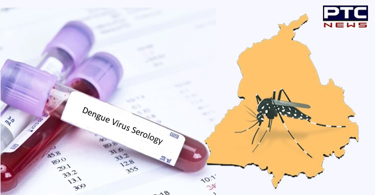 Dengue cases in Punjab on 'alarming rise'