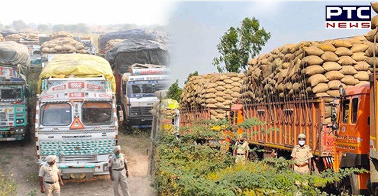 Punjab: Eight held for smuggling paddy from other states; 7 vehicles impounded