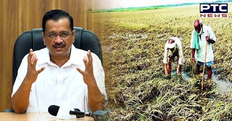 Delhi CM Kejriwal announces aid of Rs 50,000 per hectare for damaged crops