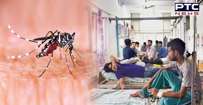Delhi hospitals witness surge in dengue cases Delhi hospitals witness surge in dengue cases