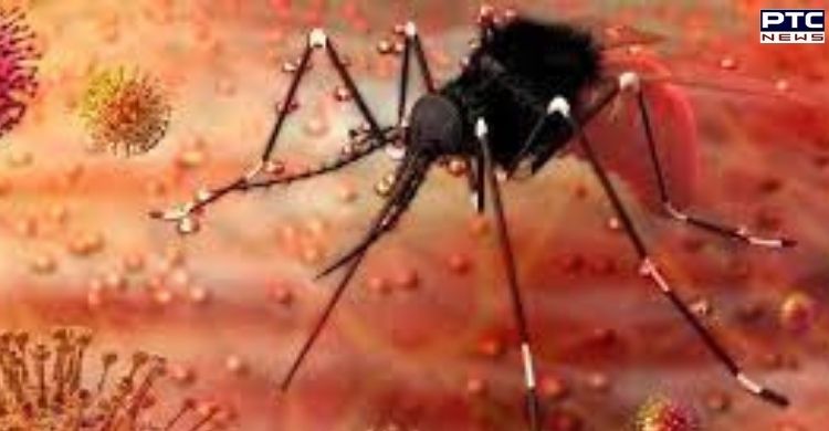 Man tests positive for Zika virus in UP's Kanpur; Central team rushed to state