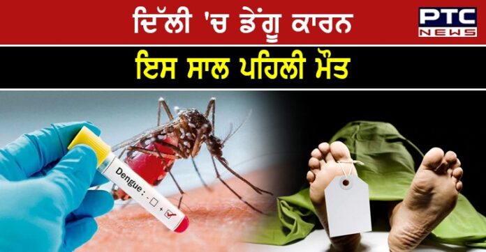 dengue cases 1