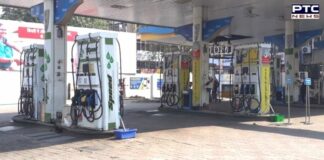 Haryana petrol pumps call for strike over Centre's sudden decision to reduce excise duty