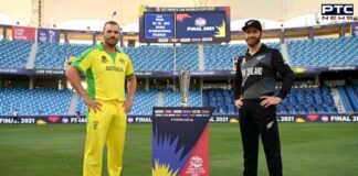 New Zealand vs Australia: Match-winners to watch out for in T20 World Cup 2021 final