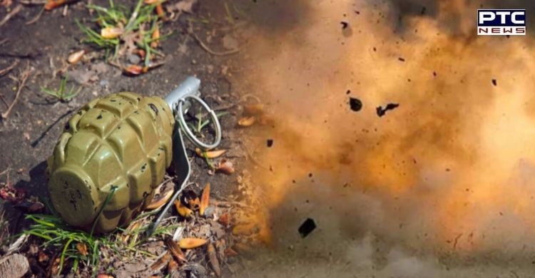 Grenade blast near Pathankot Army camp, CCTV footage to be probed