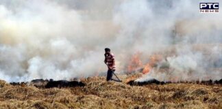 Delhi Pollution: Punjab farmers continue to burn stubble, say govt has not provided compensation