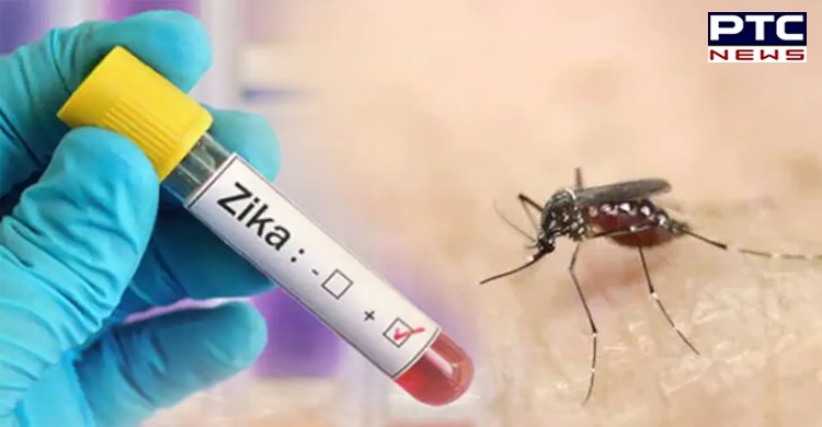 13 fresh Zika cases confirmed in Kanpur, total rises to 79