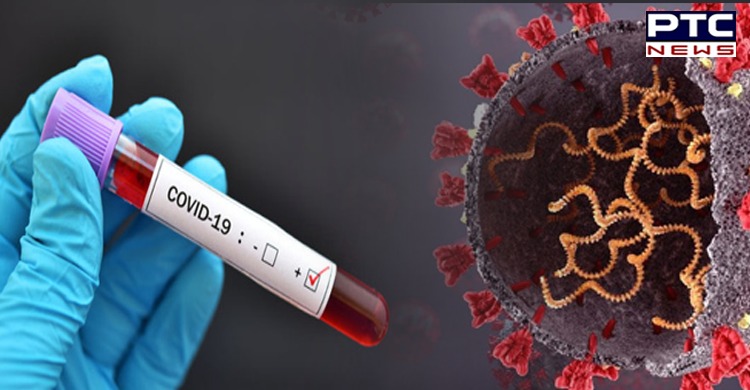 Coronavirus update: More infectious variant of Covid-19 Delta strain detected in Norway