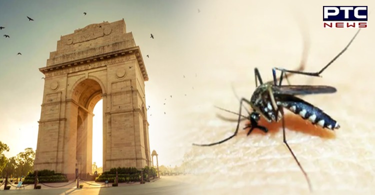 Delhi reports 7,128 dengue cases this year so far, highest in last 5 years