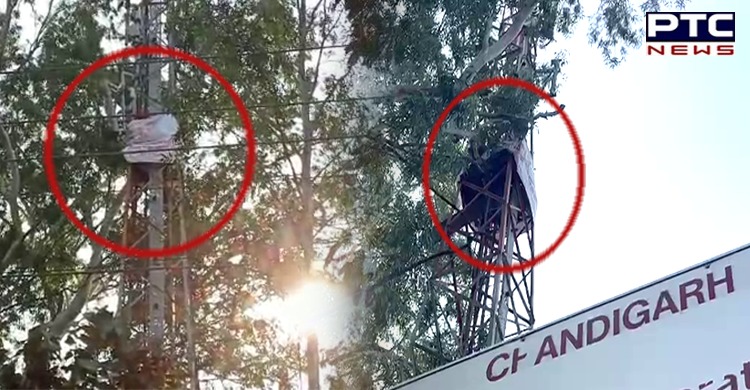 चंडीगढ़: MLA हॉस्टल के करीब हाथ में पेट्रोल की बोतल लेकर टावर पर चढ़ा ईटीटी टीचर