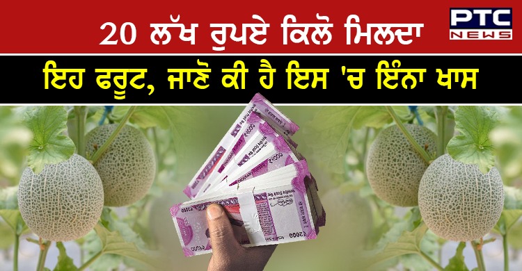 20 ਲੱਖ ਰੁਪਏ ਕਿਲੋ ਮਿਲਦਾ ਇਹ ਫਰੂਟ, ਜਾਣੋ ਕੀ ਹੈ ਇਸ 'ਚ ਇੰਨਾ ਖਾਸ