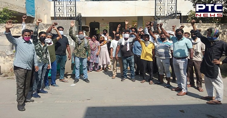 Punjab Cabinet approves regularisation of services of 4,587 safai sewaks, sewermen