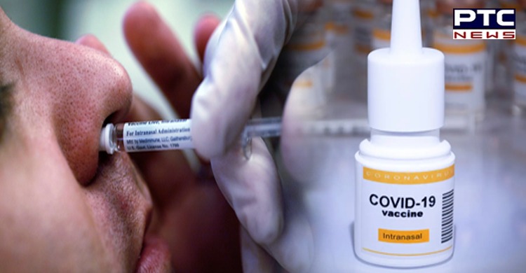 Bharat Biotech seeks DCGI's nod for phase-3 trial of intranasal Covid vaccine as booster dose