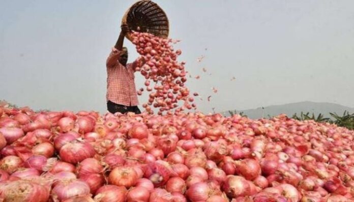 Farmer, onion, maharashtra, onion price, किसान, प्याज, प्याज के दाम, महाराष्ट्र
