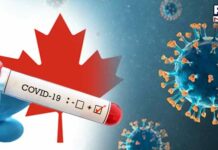 Canada's Covid-19 cases surpass 2.8 million