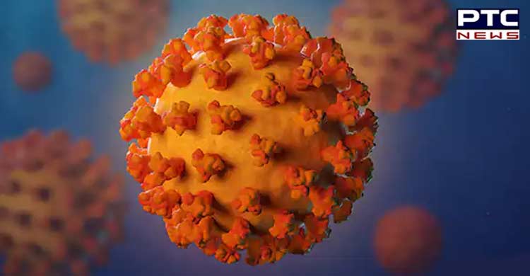 Coronavirus Omicron India Highlights: 2.47 lakh fresh Covid-19 cases