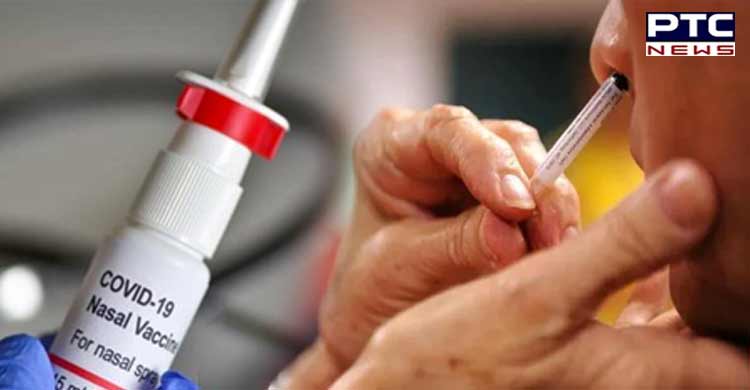 DCGI nod to Bharat Biotech to conduct clinical trials of intranasal Covid-19  vaccine BBV154