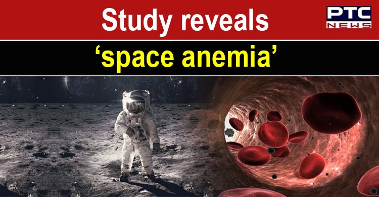 Being in space destroys more red blood cells: Study