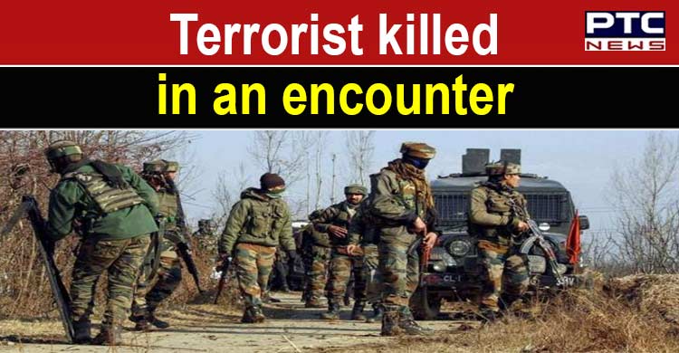 Jammu & Kashmir: Terrorist shot dead in encounter in Shopian