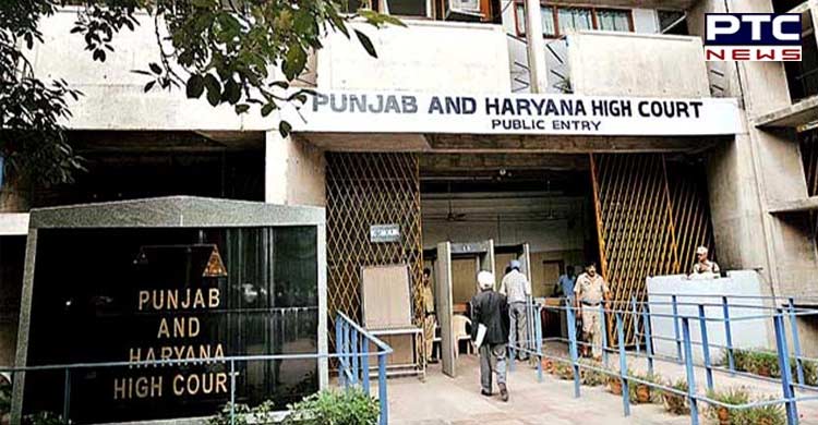 HC stays 75% job reservation for Haryana youth