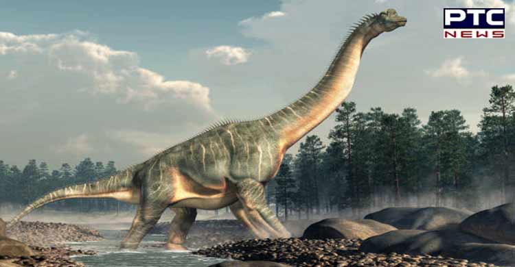 Researchers discover first evidence indicating respiratory infection in dinosaurs