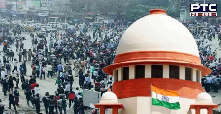 SC defers Haryana's appeal against HC stay on 75% job quota
