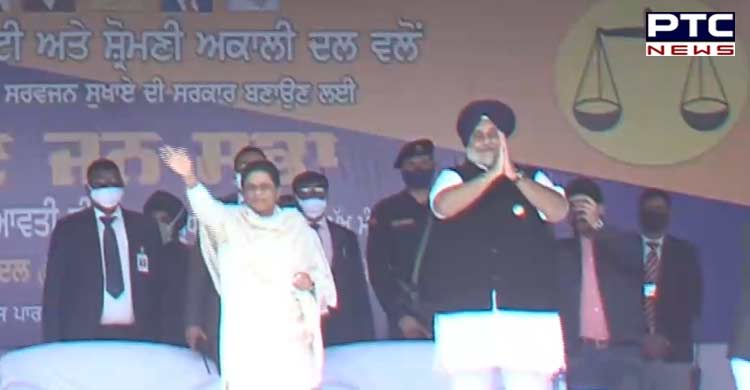 Sukhbir Badal CM face of SAD-BSP alliance in Punjab: Mayawati