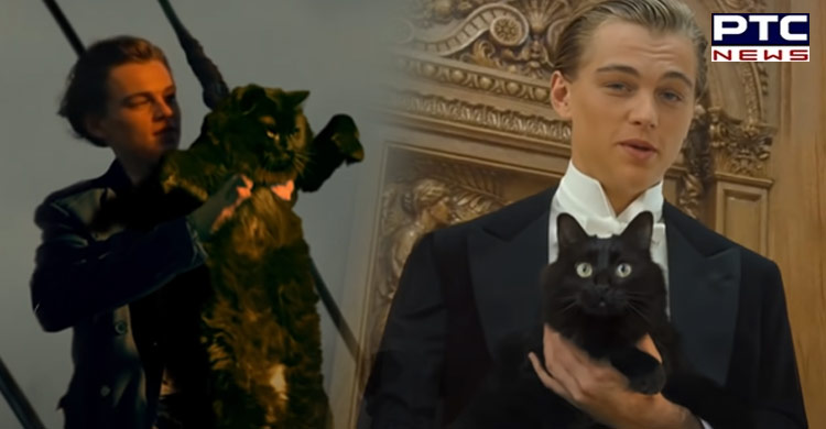 Viral Video: Someone re-created Titanic but with a cat instead of 'Rose'