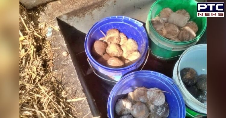 40 crude bombs recovered in Birbhum