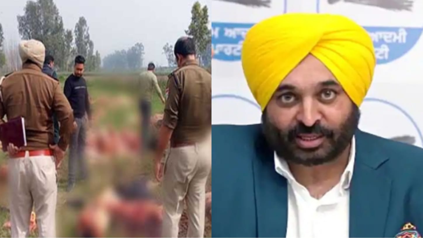 Punjab: CM designate Bhagwant Mann directs DGP to probe killing of cows near Cholang