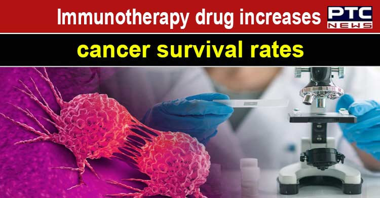 Immunotherapy Success Rate Head And Neck Cancer Head, neck cancer treatment can be improved by immunotherapy drug, says