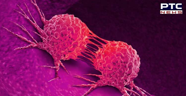 Immunotherapy drug increases cancer survival rates