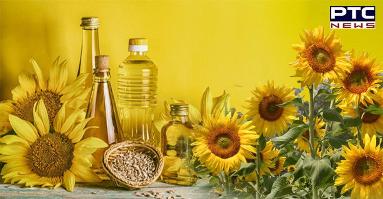 Russia-Ukraine war may lead to crude sunflower oil scarcity in India