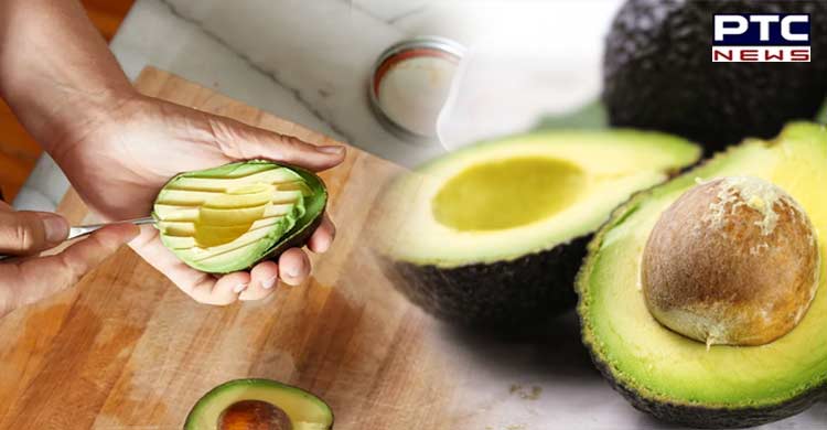Study: Eating two servings of avocados a week may lower risk of cardiovascular disease