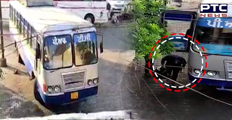 Watch: Video of fuel theft from PRTC buses in Punjab's Patiala goes viral