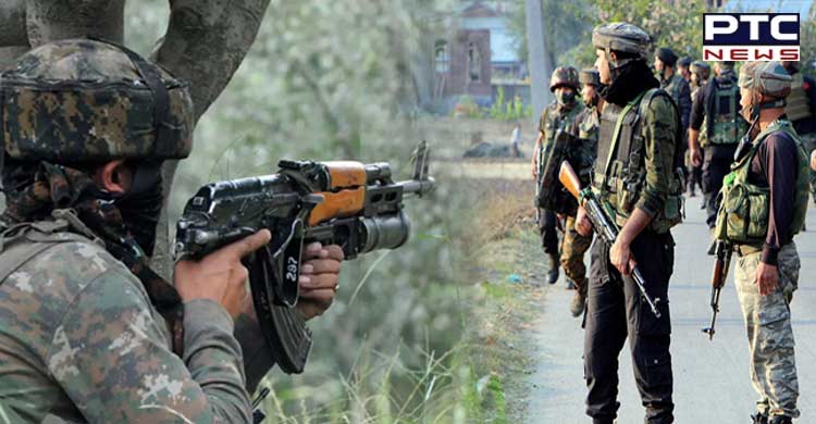 J-K: 2 terrorists involved in attacks on migrant labourers killed in Pulwama encounter