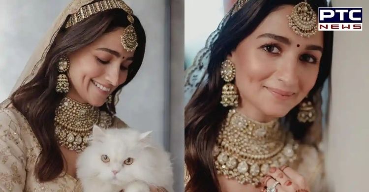 Alia Bhatt drops new snaps from her wedding, introduces 'cat of honour'