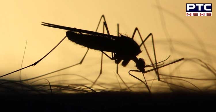 World Malaria Day: Health Ministry holds awareness programme across India 