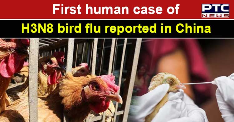 China Reports First Human Case Of H3n8 Bird Flu Risk Of Large Scale