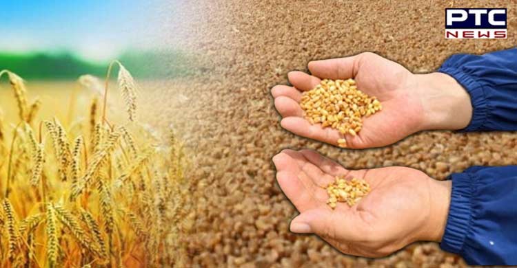 Wheat procurement in Punjab breaks 5-year record