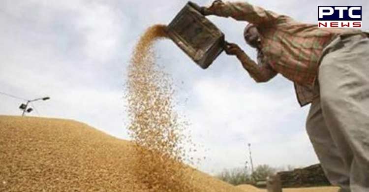 Wheat procurement in Punjab breaks 5-year record