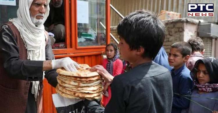 Extreme hunger 'grips' Afghanistan, Taliban accountable: Reports