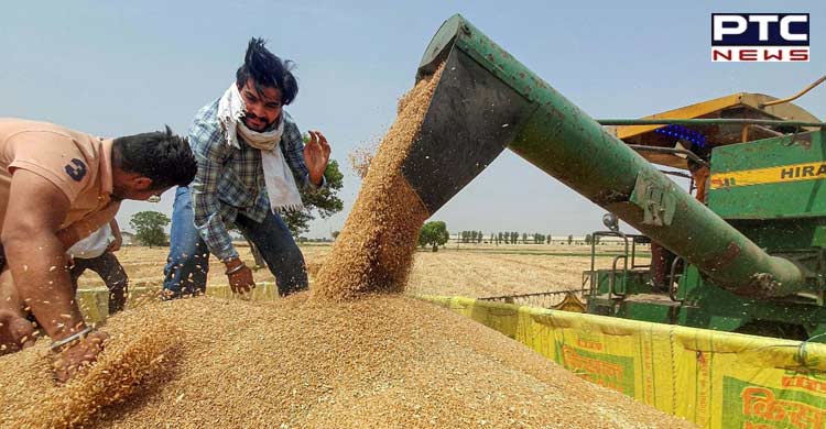 Weeks after ban, India exported wheat worth $ 473 million in April