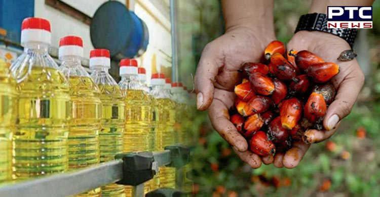 Indonesia to lift ban on palm oil exports from May 23