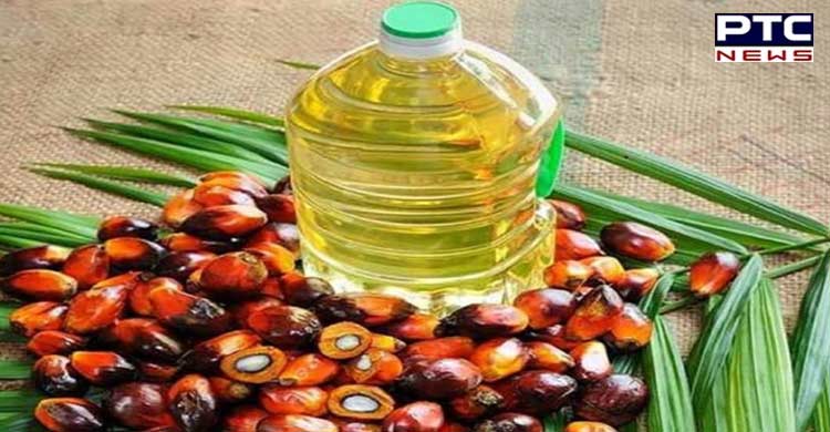 Indonesia to resume palm oil exports