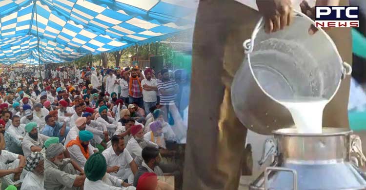 Milkfed Punjab increases milk procurement price by Rs 20 per kg fat